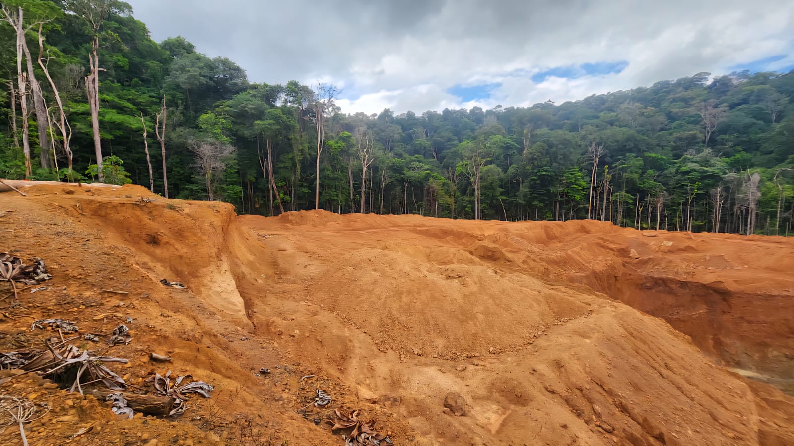 Fresh earthworks at the edge of the rainforest