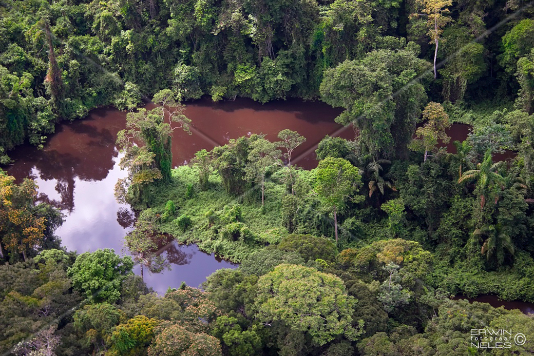 Rainforest and waterways of the wider Sipaliwini region, Suriname.