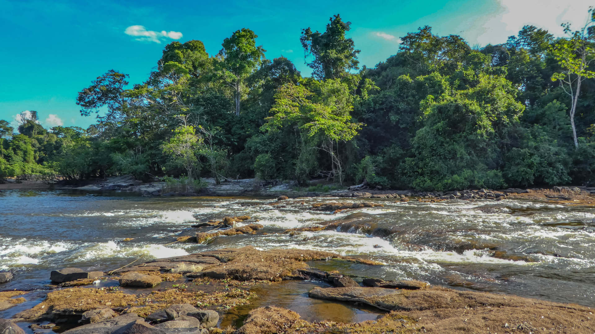 Water and rainforest environment of the wider Sipaliwini region, Suriname. Regional photography; not a depiction of SamCore's concession.