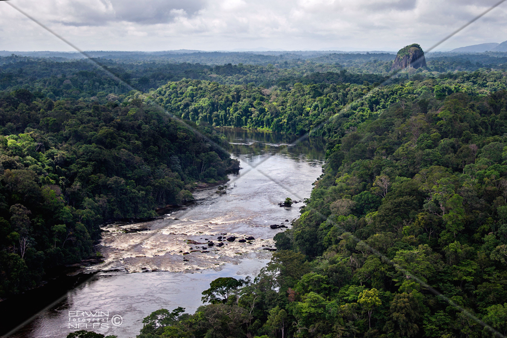 Rainforest landscape — Sipaliwini District, Suriname. Regional photography; not a depiction of SamCore's concession boundary or active mining operations.